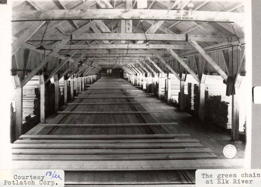 A photograph of the green chain at the Elk River sawmill.