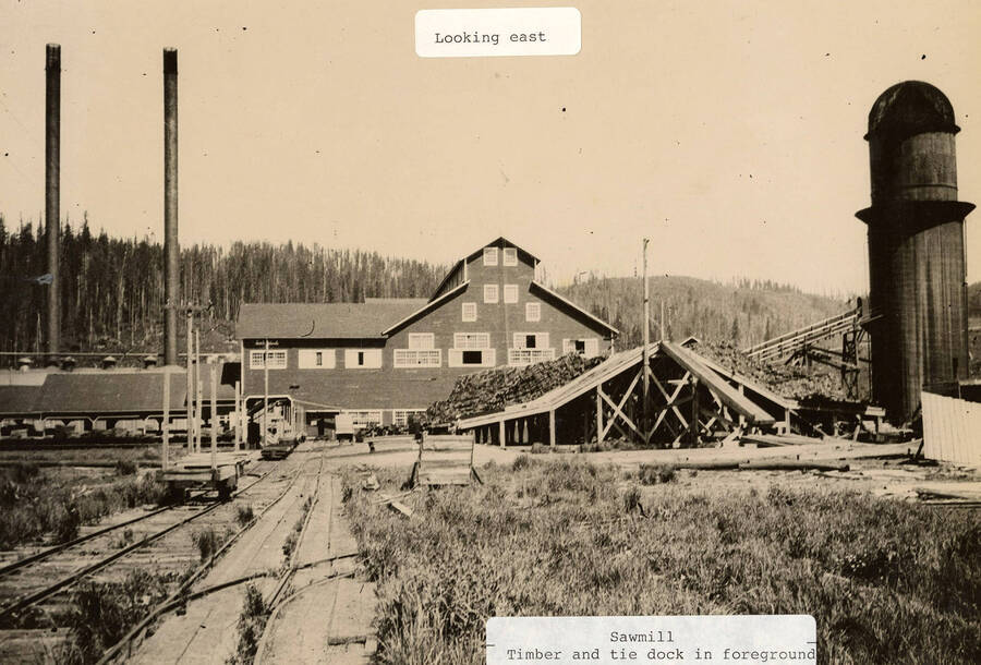 A photograph looking east at the Elk River Sawmill with timber and tie dock in the foreground.