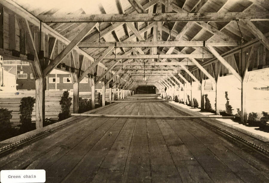 A photograph of the green chain at the Elk River sawmill.
