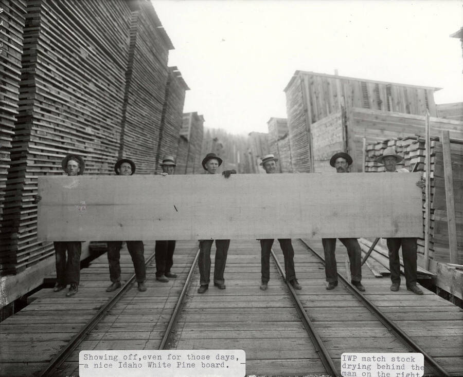 A photograph of sawmill employees showing off a nice Idaho White Pine board. IWP match stock drying behind the man on the right.