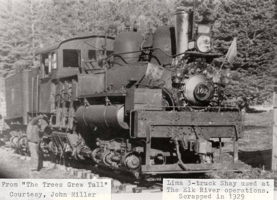 A photograph of a Lima 3-truck Shay used at the Elk River operations that was scrapped in 1929. Photo courtesy of John Miller and from 'The Trees GrewTall.'