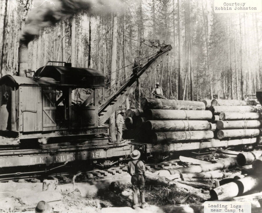 A photograph of Elk River employees loading logs near camp 14 with a large piece of equipment.