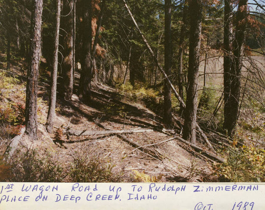 The 1st wagon road up to Rudolph Zimmerman Place on  Deep Creek, Idaho.