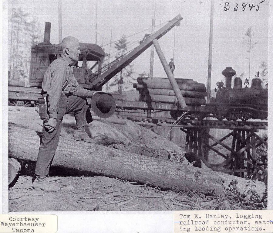 A photograph of a logging railroad conductor, Tom E. Hanley, watching loading operations.