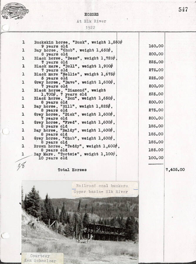 A table with the type, name, weight, and age of the horses at Elk River along with the total horses. There is also a photo of the railroad coal bunkers of the upper basin in Elk River attatched to the document.