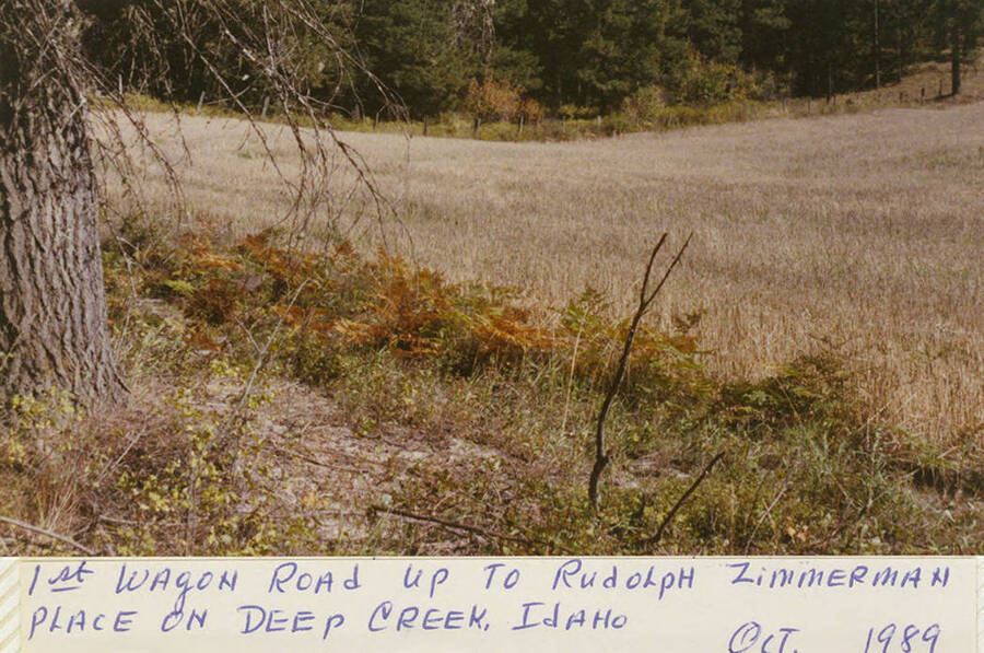 The 1st wagon road up to Rudolph Zimmerman Place on  Deep Creek, Idaho.