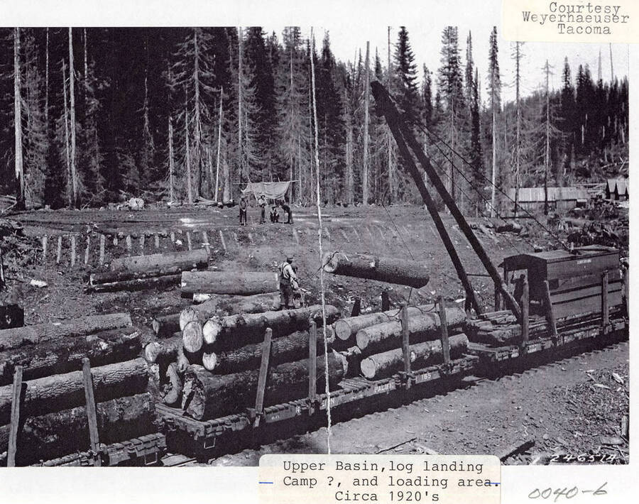 A photograph of a log landing camp and loading area of the Upper Basin in Elk River.