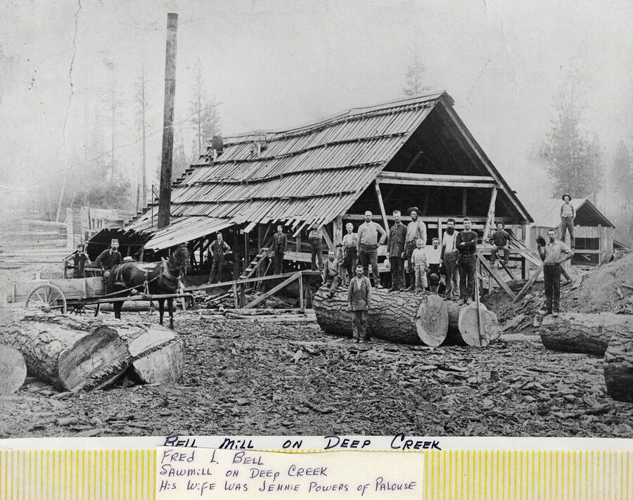 Fred L. Bell's sawmill on Deep Creek. His wife was Jennie Powers of Palouse.