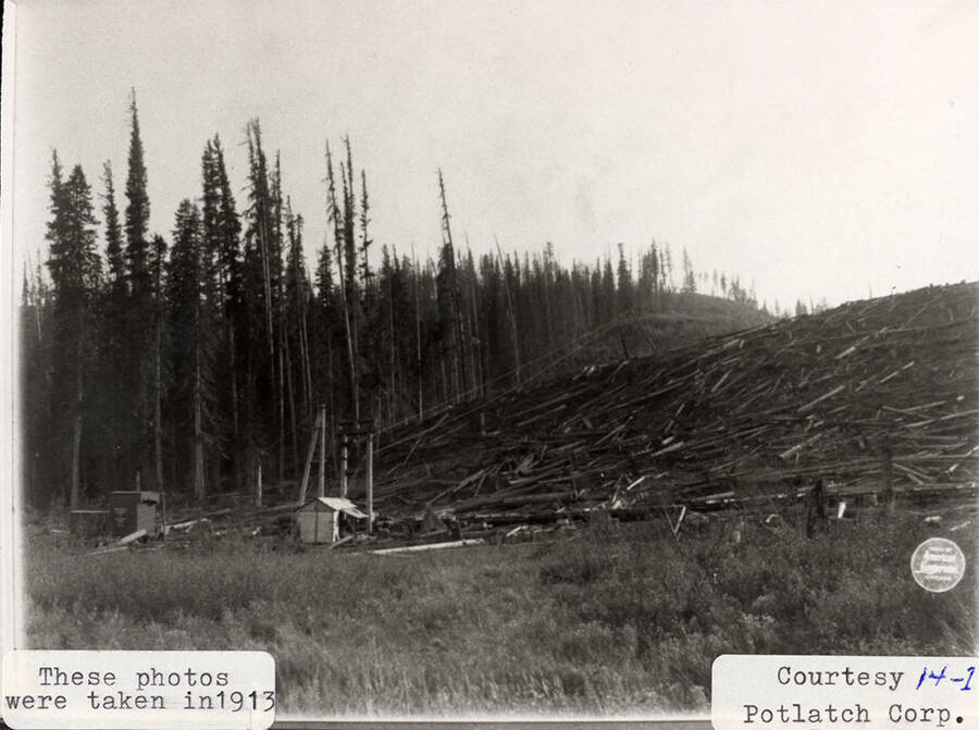 A photograph of a logging operation in Elk River, Idaho.
