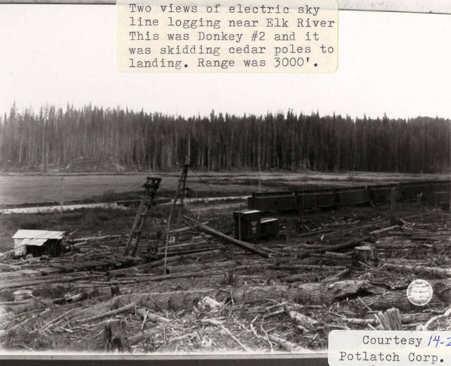A photograph of Donkey #2 skidding cedar poled to landing with a 3000' range near Elk River.