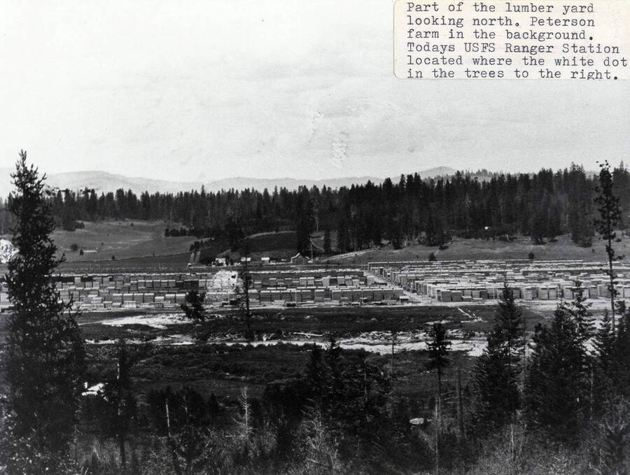 A north view of part of the lumber yard with the Peterson farm in the background. The white dot in the trees to the right is were todays USFS Ranger Station is located.