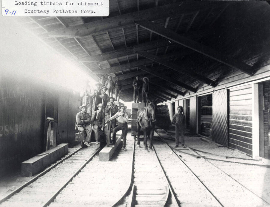 A photograph of workers loading timbers for shipment. Photo courtesy of the Potlatch Corporation.