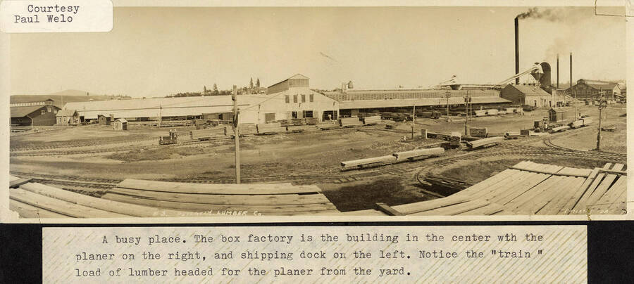A photograph of the shipping dock, box factory, and planer with a full load of lumber on the train from the yard to the planer.