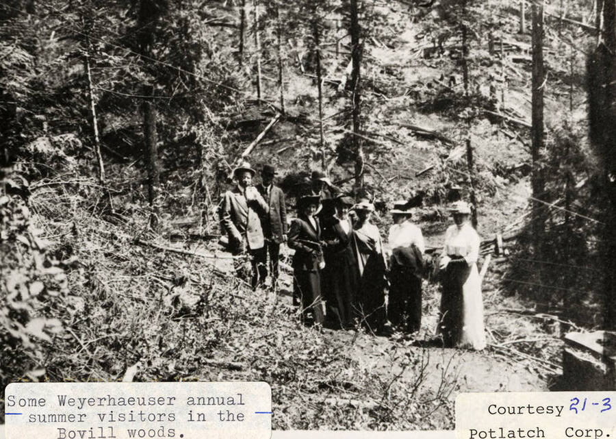 Group of Weyerhaeuser annual summer visitors standing in the Bovill woods.
