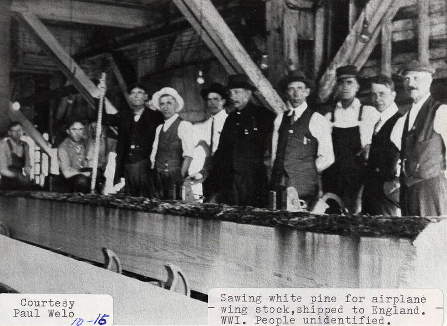 A photograph of unidentified people sawing white pine for airplane wing stock to be shipped to England during WWI.