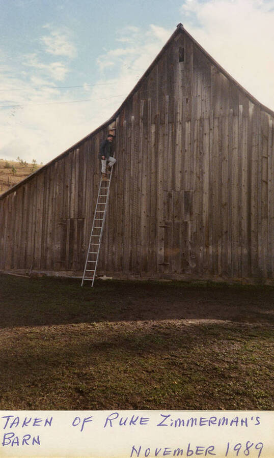 A man on the top of a ladder leaning against Ruke Zimmerman's barn.