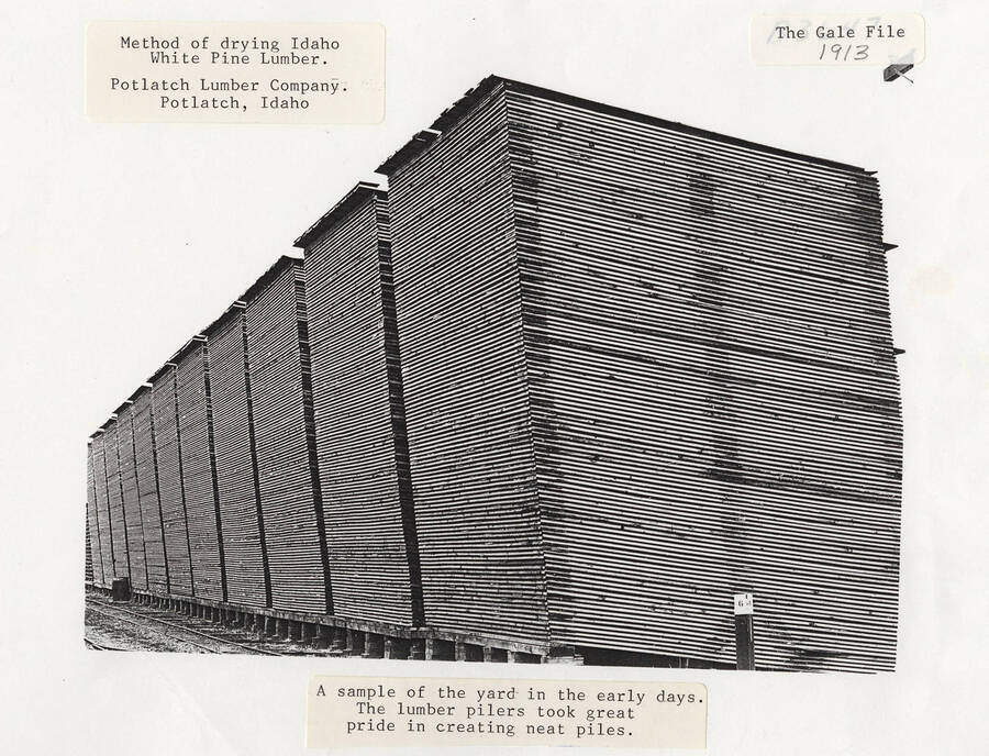 A photograph of stacks of lumber during the early days of the mill when the pilers took great pride in the neatness of their piles to dry the White Pine Lumber.