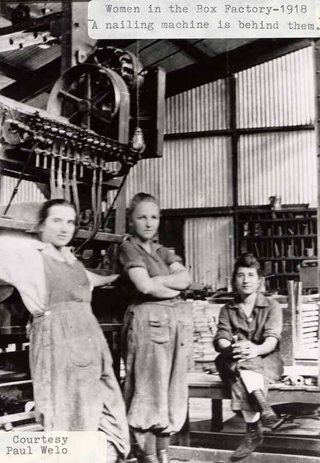 A photograph of women in the box factory with a nailing machine behind them.