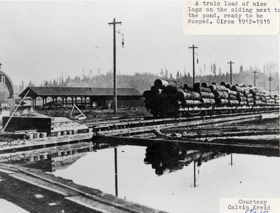 A photograph of a train load of logs ready to be put into the log pool it is siding.