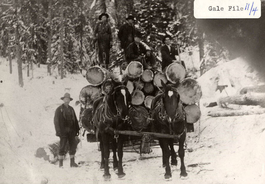 Horses pulling logs in the snow. Four men are standing and sitting on top of the logs and another man is standing next to the stack of logs.