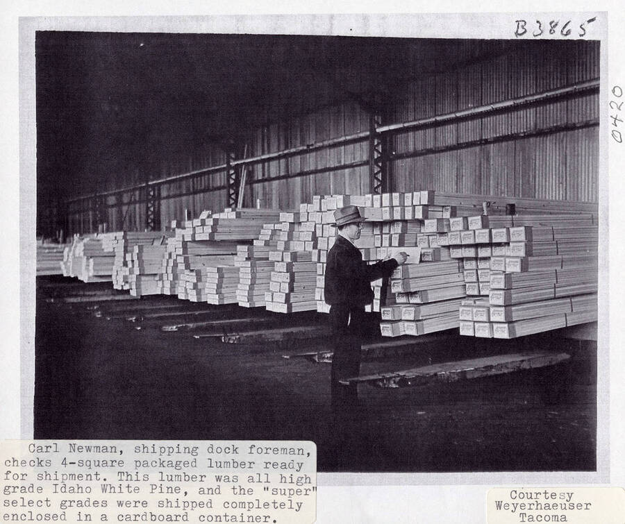 A photograph of shipping dock foreman Carl Newman as he checks 4-square packaged lumber. The lumber was all high grade Idaho White Pine and the best grades were enclosed in cardboard containers.
