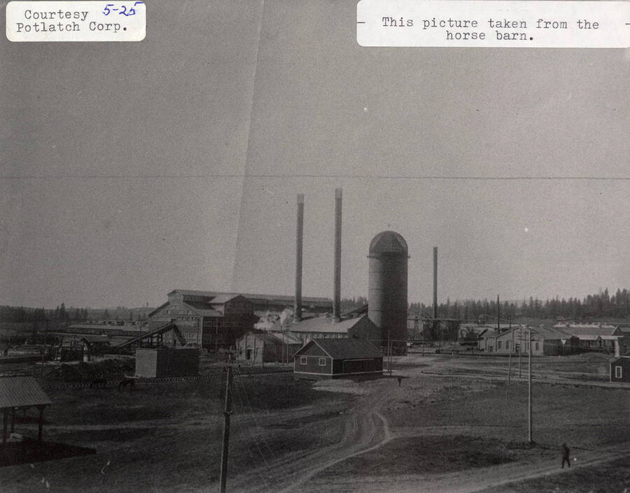 A photograph taken from the horse barn of the Potlatch Sawmill.