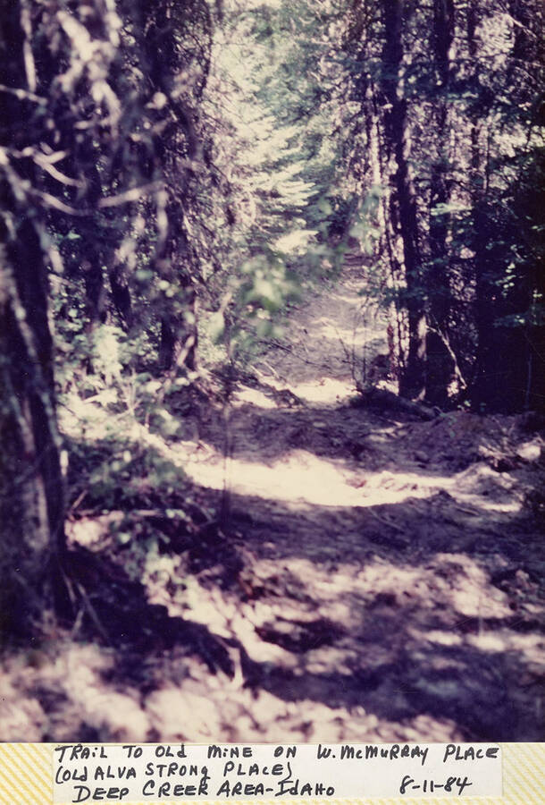A trail to the old mine on W. McMurray Place, also known as old Alva Strong Place, in the Deep Creek area of Idaho.