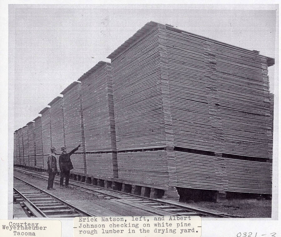 A photograph of Erick Matson and Alber Johnson checking on white pine rough lumber in the drying yard.