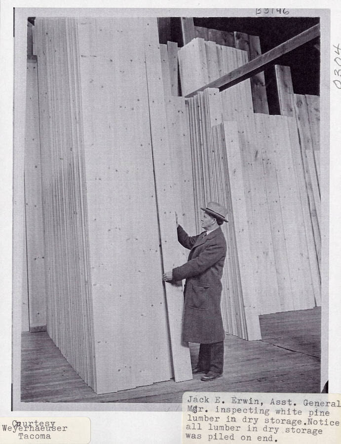 A photograph of Jack E. Erwin inspecting white pine lumber in dry storage that was piled on end.