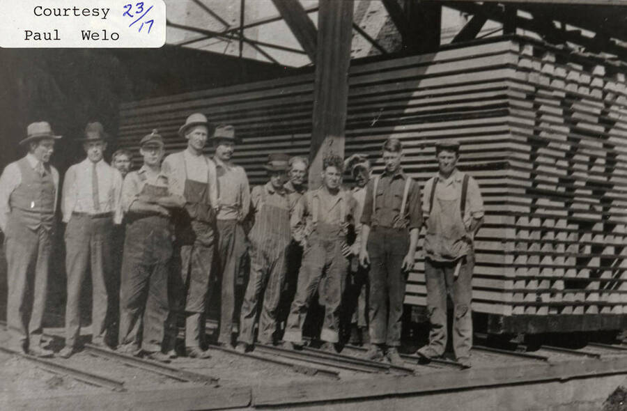 A photograph of workers with white pine.