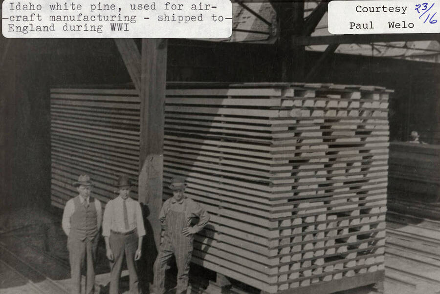 A photograph of Idaho white pine that was used for aircraft manufacturing and shipped to England during WWI.