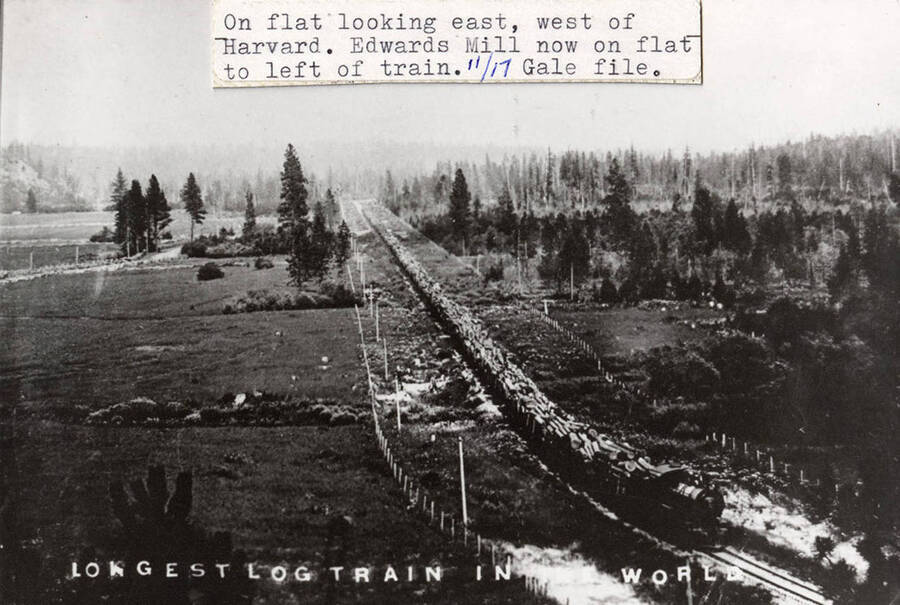 View of the longest log train in the world. The train of logs is for Potlatch Lumber Company and consists of 105 cars, with a length of one mile. The train can be seen between Potlatch and Princeton. Old 'Company Ranch' buildings can be seen in the background.