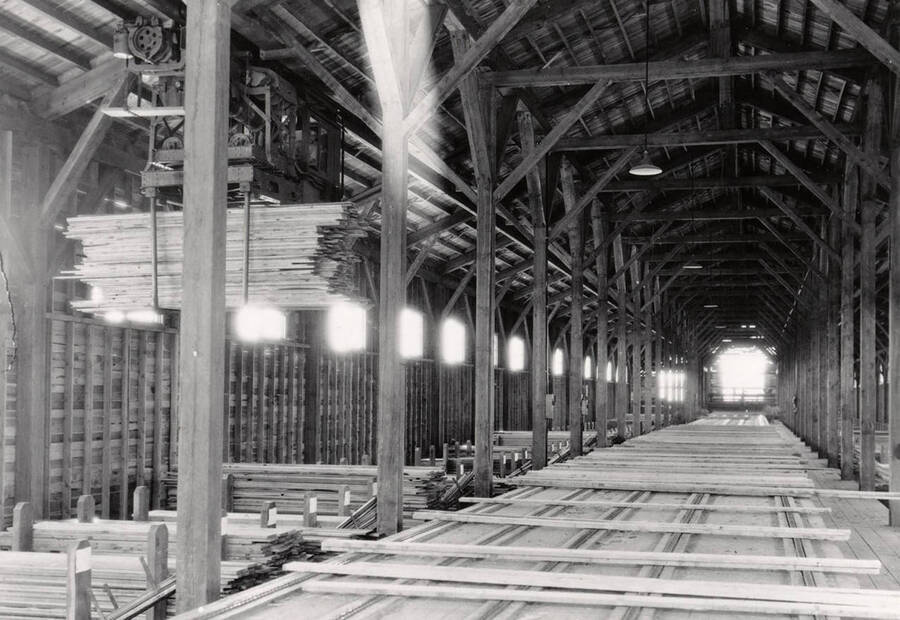A photograph of the unstacked lumber sorting shed with one of it's two overhead lumber handling monorail systems that kept the planer supplied and handled all lumber output from sorting shed. This system was almost trouble free until it was dismantled in 1956.