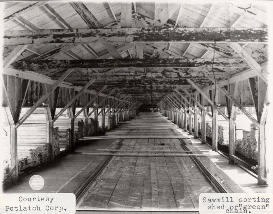 A photograph of the sawmill sorting shed known as the green chain.