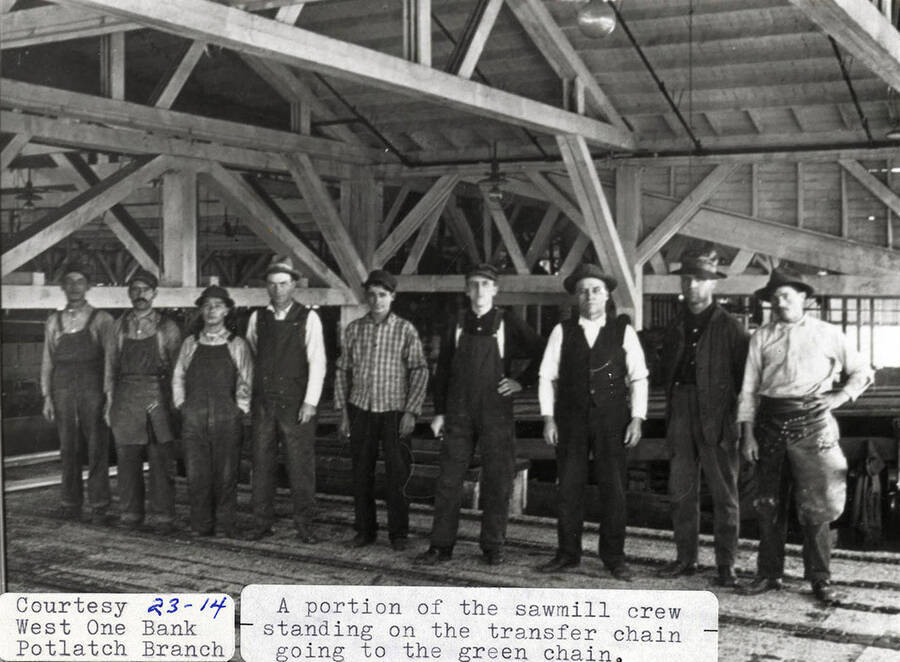 A photograph of part of the sawmill crew standing on the transfer chain going to the green chain.