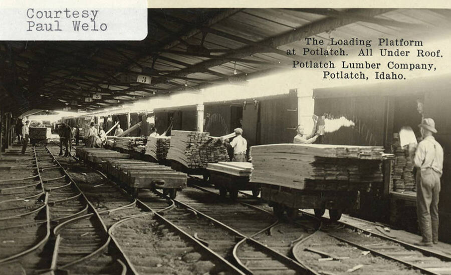 A photograph of the under roof loading platform at the Potlach Lumber Company.