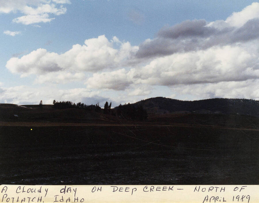 A view of the clouds over a field and hills on Deep Creek north of Potlatch.