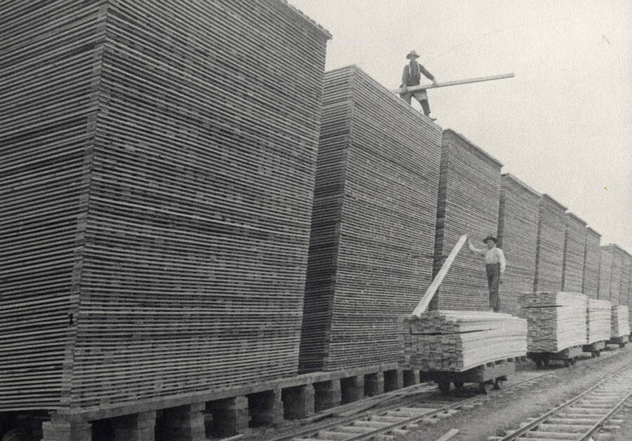 A photograph within the lumber yard of employees moving lumber from massive stacks to be transported to the shipping dock.