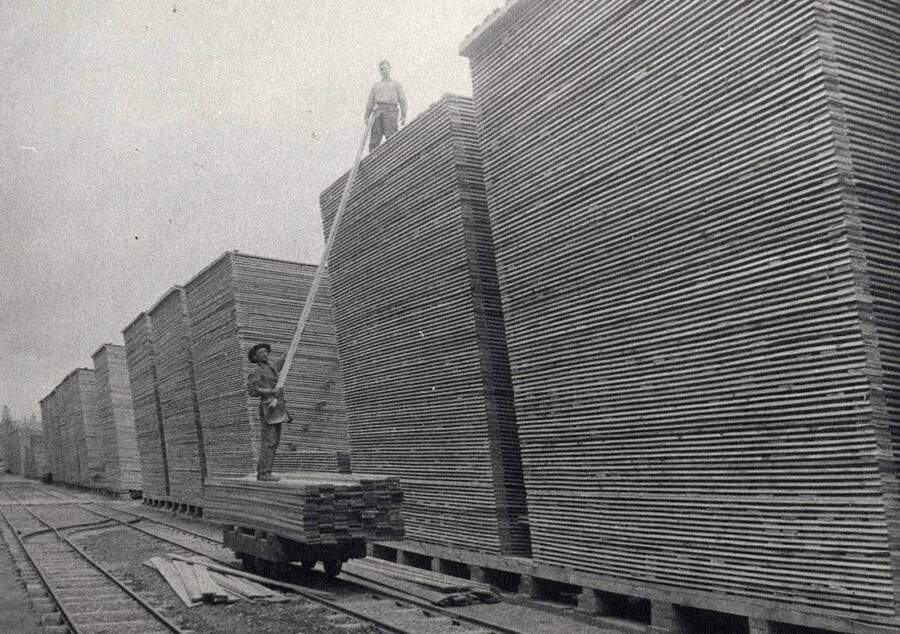 A photograph in the lumber yard of employees moving lumber from massive stacks to be transported to the shipping dock.