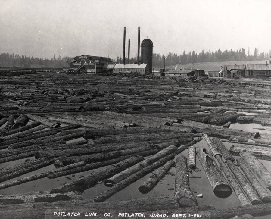 A photograph of the log pond at the Potlatch Lumber Company in Potlatch, Idaho.