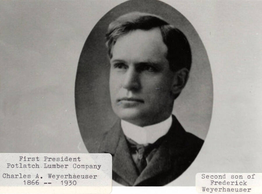 A portrait of the first president of the Potlatch Lumber Company, Charles A. Weyerhaeuser (1866-1930). He was the second son of Frederick Weyerhaeuser.