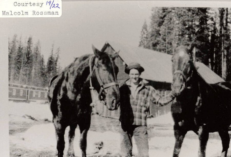 A man standing with two horses outside a log cabin at a PLC camp.