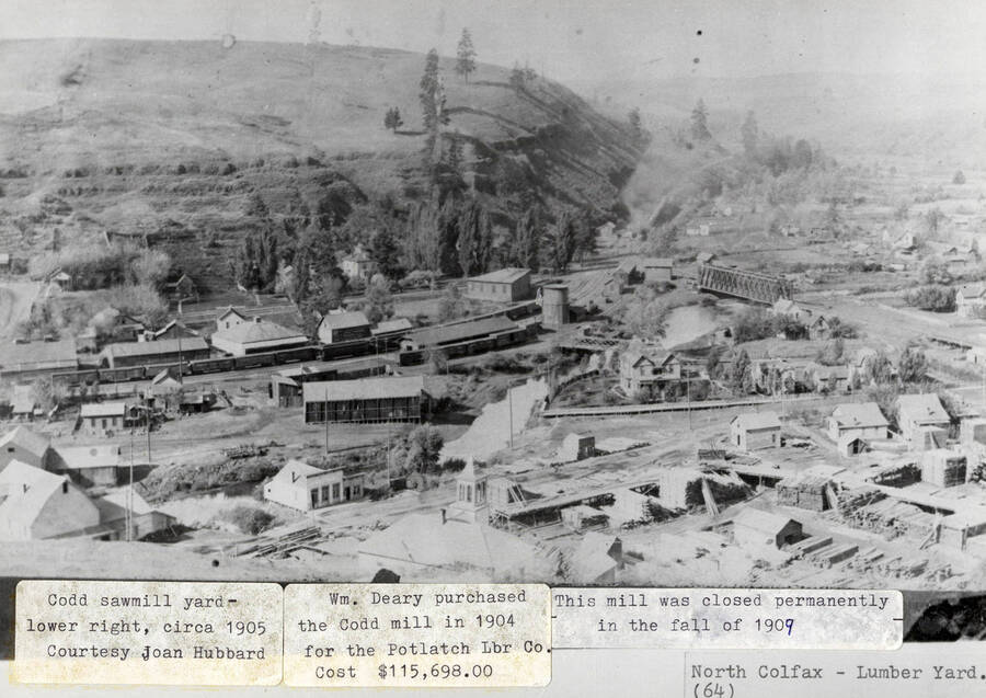 A photograph of the Codd sawmill yard in Colfax that Wm. Deary purchased in 1904 for $115,698.00. The Mill was permanently closed the fall of 1909.