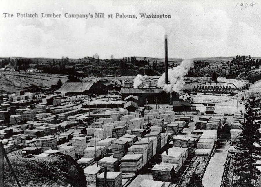 A photograph of the Potlatch Lumber Company's Mill at Palouse Washington.