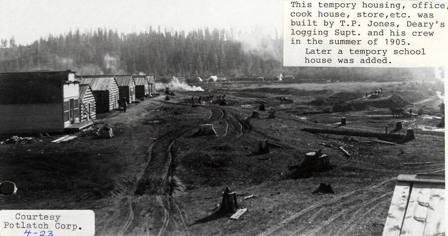 A photograph of temporary houseing, office, cook house, and store built by T.P. Jones (Deary's logging superintendent) and his crew the summer of 1905. Courtesy of the Potlatch Corportation.