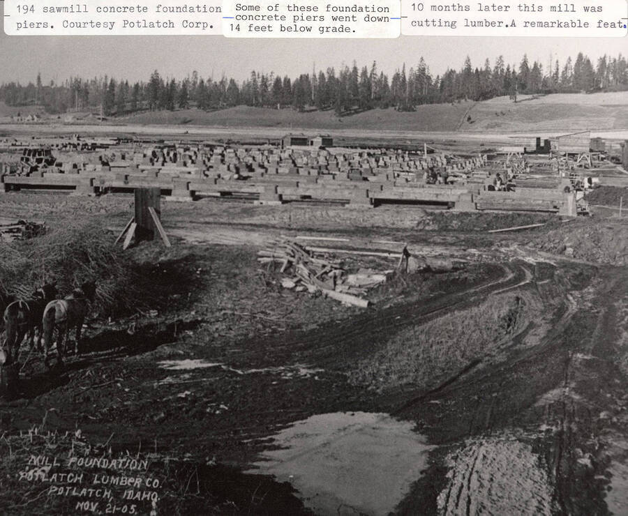 A photograph of the 194 concrete foundation piers that went 14 feet below grade courtesy of the Potlatch Corporation.