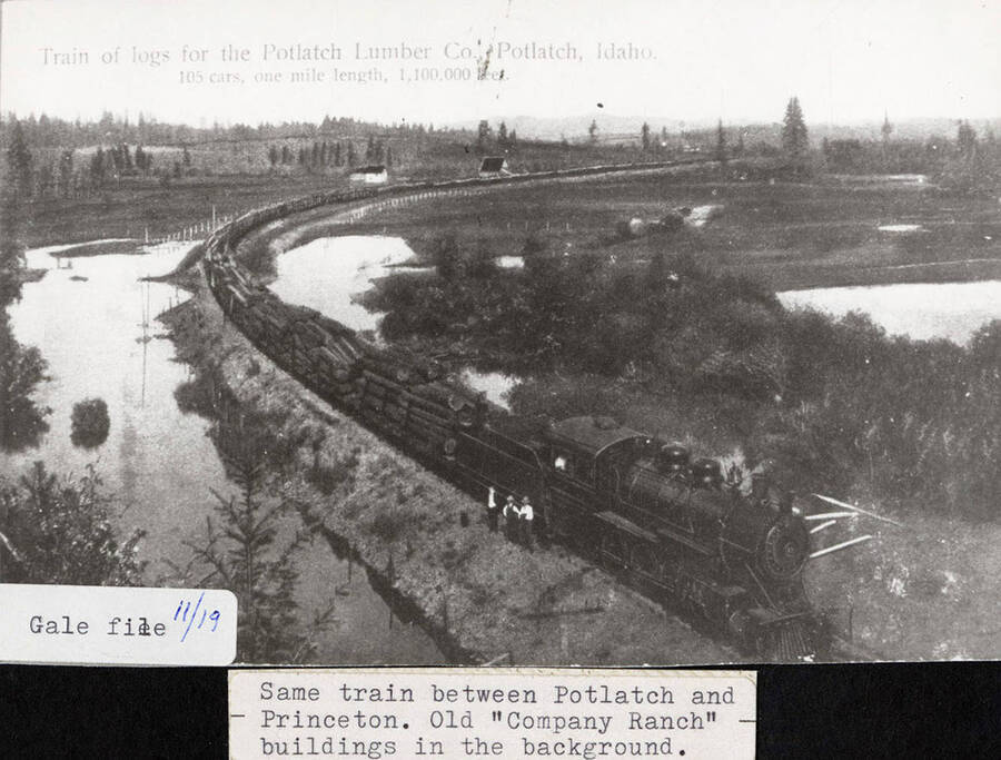 View of the lonest log train in the wrold. The view of the flat is West of Harvard, while looking East. Edwards Mill can be seen to the left of the train.