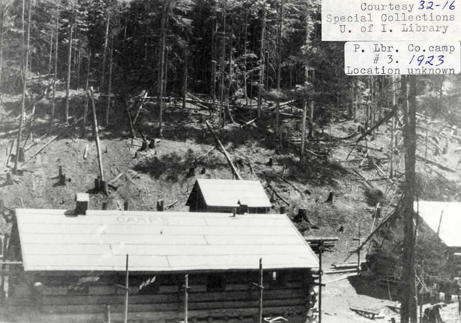 View of PLC camp 3. A log cabin can be seen with 'Camp 3' written on its roof. In the background there is a forest of trees with many logs lying at the tree's bases.