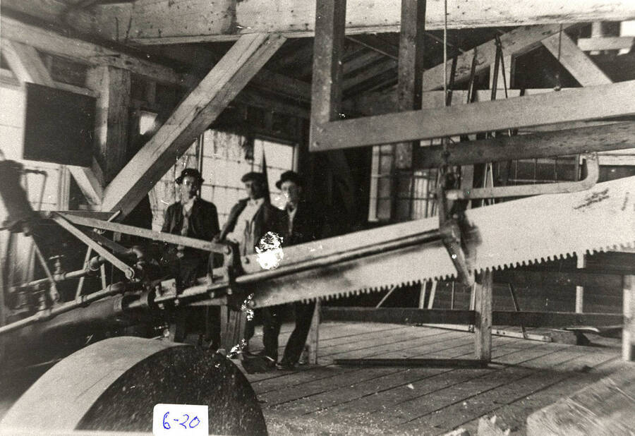 A photograph of three employees next to a saw.