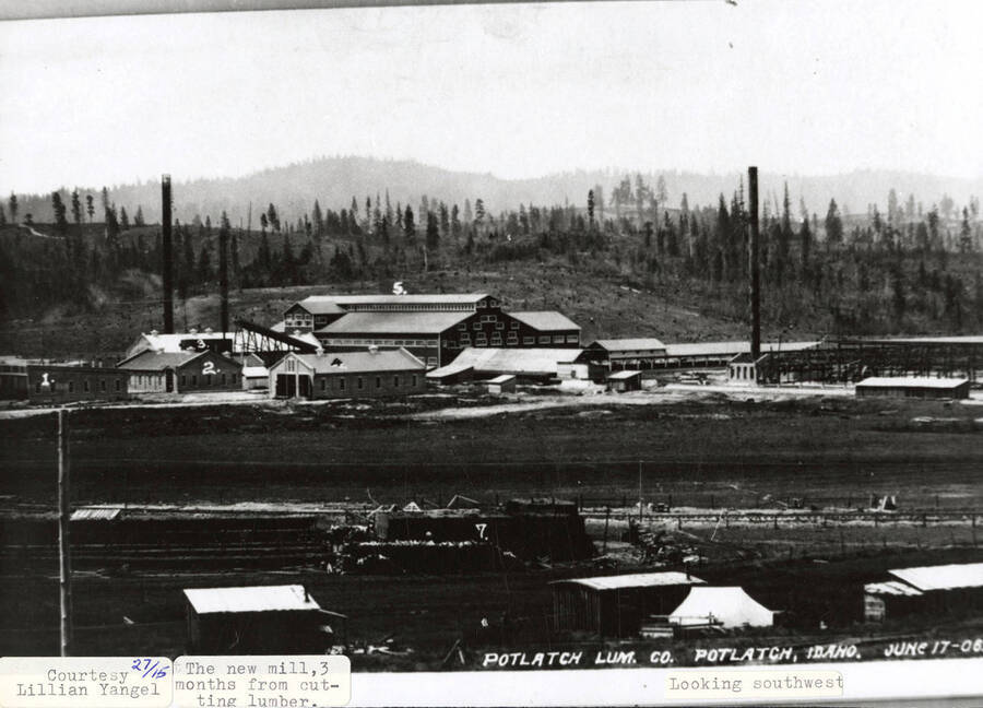 A photograph looking southeast over the sawmill just 3 months before it began cutting lumber. Photo courtesy of Lillian Yangel.